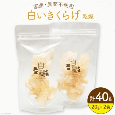 白いきくらげ 白翠 乾燥(20g×2袋)