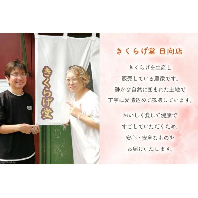 白いきくらげ 白翠 携帯用瓶入り(40g)