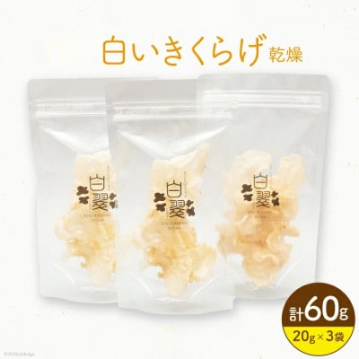 白いきくらげ 白翠 乾燥(20g×3袋)