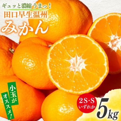 ギュッと濃縮 うまっ! 田口早生温州みかん 2S・Sいずれか 5kg(日向市)
