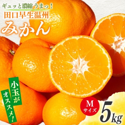 ギュッと濃縮 うまっ! 田口早生温州みかん Mサイズ 5kg(日向市)