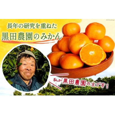 コクのある甘さ うまぁ～い!!青島晩生温州みかん 2Lサイズ 5kg(日向市)