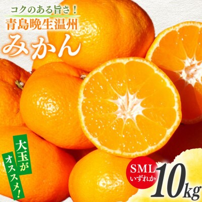 コクのある甘さ うまぁ～い!!青島晩生温州みかん S・M・Lいずれか 10kg(日向市)