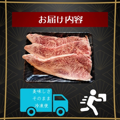 A4～A5 宮崎牛 黒毛和牛 ロース サーロインステーキ 600g (3枚入り)(日向市)
