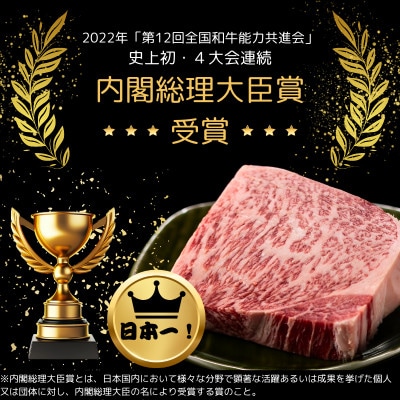 A4～A5 宮崎牛 黒毛和牛 希少部位 シャトーブリアン ステーキ 300g(2枚入り) (日向市)