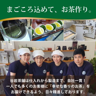 日本茶AWARD プラチナ賞受賞茶　深蒸し煎茶「深緑」100g×2本