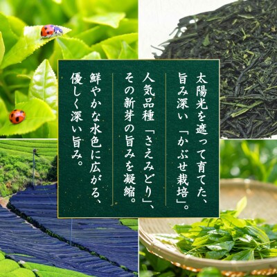 日本茶AWARD プラチナ賞受賞茶　深蒸し煎茶「深緑」80g×3本