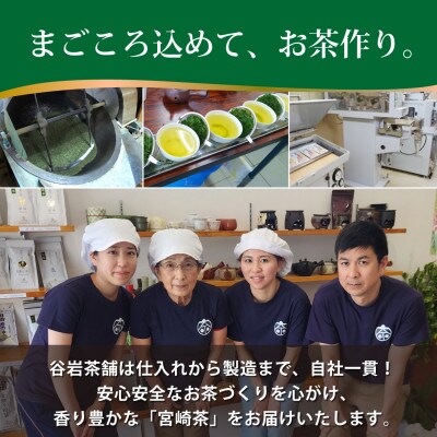 日本茶AWARD プラチナ賞受賞茶　深蒸し煎茶「深緑」80g×3本