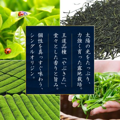 日本茶AWARD プラチナ賞受賞茶　煎茶「晟」70g×3本