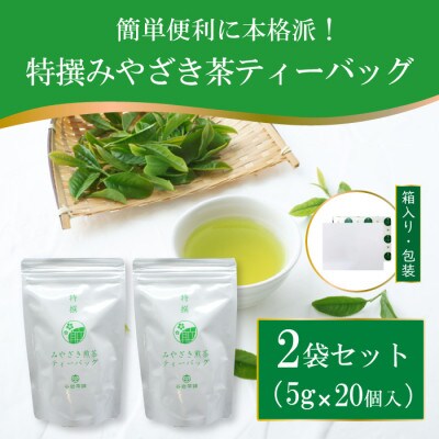 特撰みやざき煎茶ティーバッグ　2袋セット