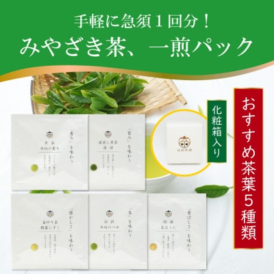 特撰みやざき茶(一煎パック)5袋セット
