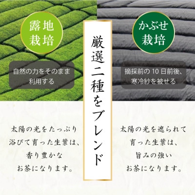 プレミアムティーバッグ「露ぶせ」(3g×12個)