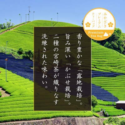 プレミアムティーバッグ「露ぶせ」(3g×12個)3袋