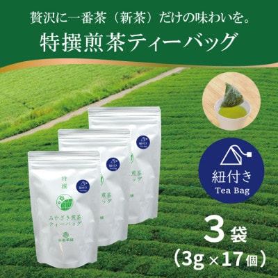 特撰みやざき煎茶ティーバッグ(紐付き)3袋