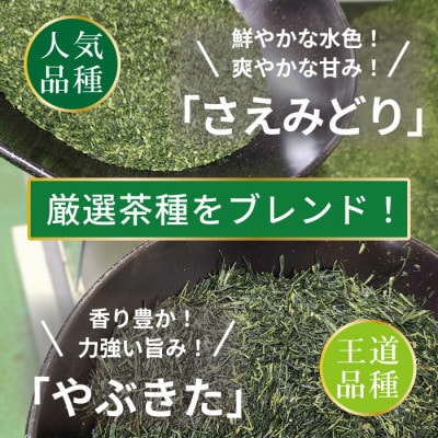 特撰みやざき煎茶ティーバッグ(紐付き)3袋
