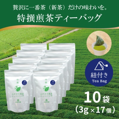 特撰みやざき煎茶ティーバッグ(紐付き)10袋