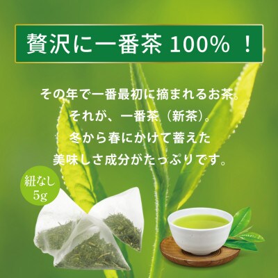 特撰みやざき煎茶ティーバッグ　5袋