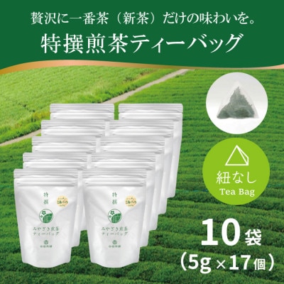 特撰みやざき煎茶ティーバッグ　10袋