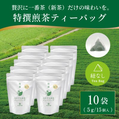 特撰みやざき煎茶ティーバッグ　10袋