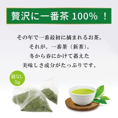 特撰みやざき煎茶ティーバッグ　10袋