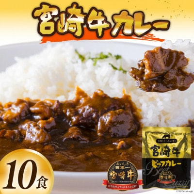 宮崎牛カレー(160g×10食)