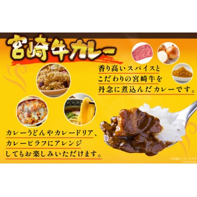 宮崎牛カレー(160g×10食)