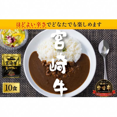 宮崎牛カレー(160g×10食)