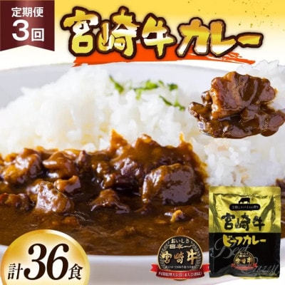 【毎月定期便】宮崎牛カレー160g×12食 (計36食)マイルドな中辛 レトルトカレー 保存食全3回