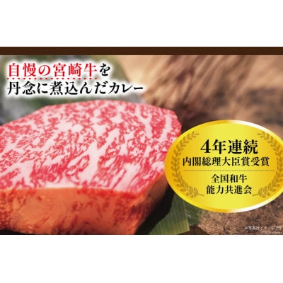 【毎月定期便】宮崎牛カレー160g×12食 (計36食)マイルドな中辛 レトルトカレー 保存食全3回