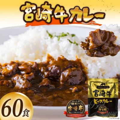 【毎月定期便】宮崎牛カレー160g×10食 (計60食)全6回