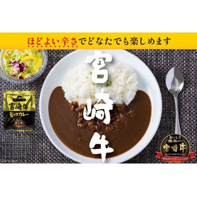 【毎月定期便】宮崎牛カレー160g×10食 (計60食)全6回