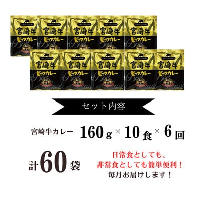 【毎月定期便】宮崎牛カレー160g×10食 (計60食)全6回