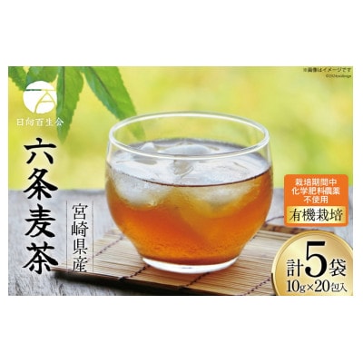 六条麦茶　10g×20包