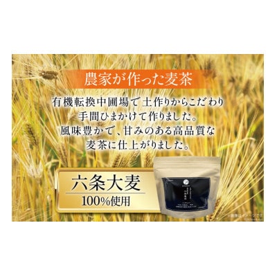 六条麦茶　10g×20包