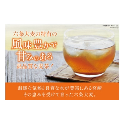 六条麦茶　10g×20包