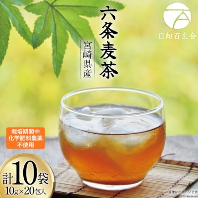 お茶 六条麦茶 ( 10g 20包 ) ×10袋
