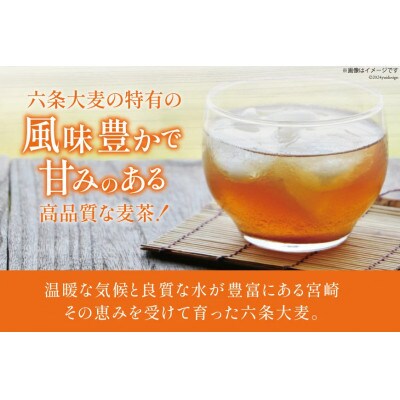 お茶 六条麦茶 (10g × 20包入)×15袋