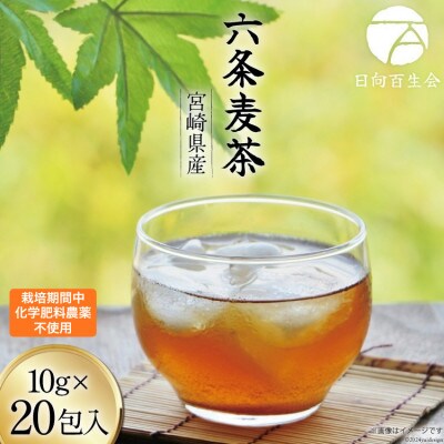 お茶 六条麦茶 10g 20包