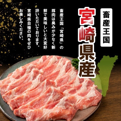 宮崎県産豚肉 バラエティセット 合計4.5kg(日向市)