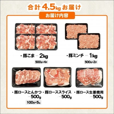 宮崎県産豚肉 バラエティセット 合計4.5kg(日向市)