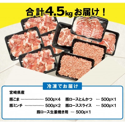 宮崎県産豚肉 バラエティセット 合計4.5kg(日向市)