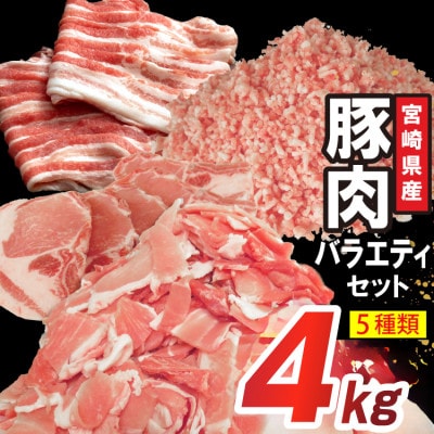 宮崎県産豚肉 詰め合わせ バラエティ セット 5種 4kg
