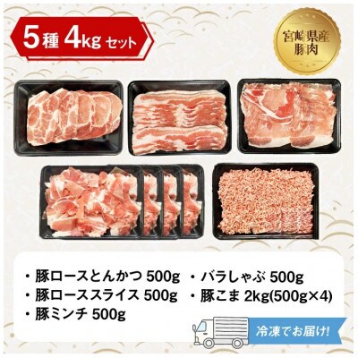宮崎県産豚肉 詰め合わせ バラエティ セット 5種 4kg