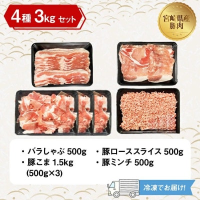 宮崎県産豚肉 詰め合わせ バラエティ セット 4種 3kg(日向市)