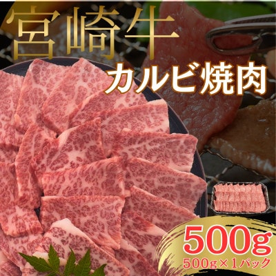 A4～A5 宮崎牛 黒毛和牛 カルビ 焼肉 バーベキュー 500g (日向市)