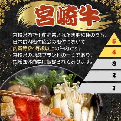 4等級 ～ 5等級 宮崎牛 黒毛和牛 牛肉 ヒレステーキ フィレ・ヘレ 合計300g(2枚入り)