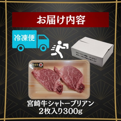 A4～A5 宮崎牛 黒毛和牛 牛肉 希少部位 シャトーブリアン ステーキ 300g(2枚入り)