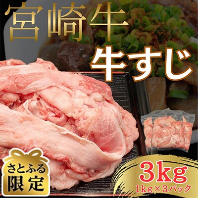【さとふる限定】A4～A5 宮崎牛 黒毛和牛 牛すじ 合計3kg [1kg×3パック] (日向市)