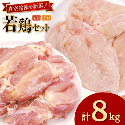 宮崎県産 若鶏 もも身 むね身 各1kg×4p 計8kg セット(日向市)