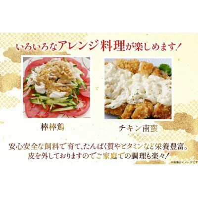 宮崎県産 若鶏 もも身 むね身 各1kg 計2kg セット(日向市)